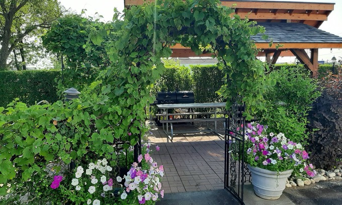 Niagara Falls Hotel | Blue Moon Motel