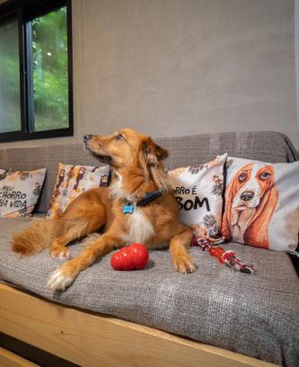 Morro de Sao Paulo Apartamento | Bom pra Cachorro