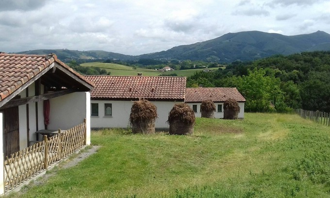 Dantxarinea Cabaña | Bordak 3, en Urdazubi