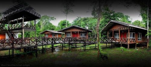 Sukau Cabina | Borneo Nature Lodge
