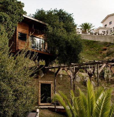 San Antonio de las Minas Hotel | Boskenvid Hotel - Romantic Treehouses & Skypool