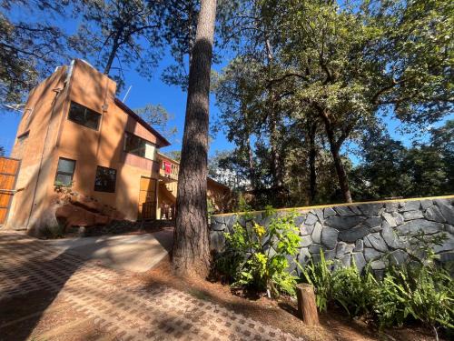 Valle de Bravo Hotel | Bosque de Avandaro
