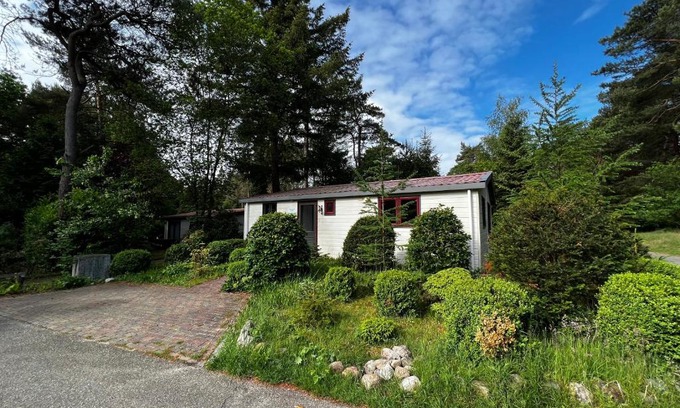 Diever Chalet De Esquí | Boszicht