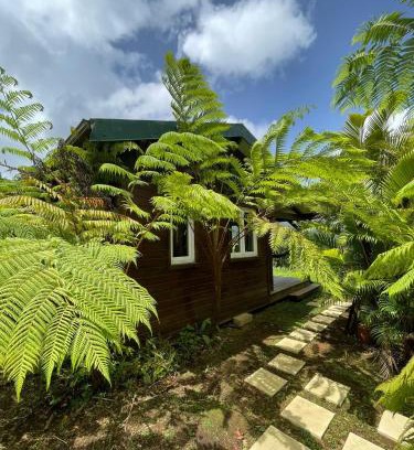 Le Morne-Rouge Chalet De Esquí | Bungalow à flanc de colline