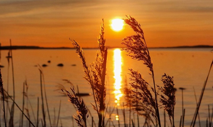 Stahlbrode Casa | Bungalow for 2 guests with 38m² in Sundhagen (250792)