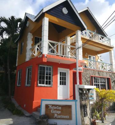Arnos Vale Apartamento | Buttercup Cottage Apartments