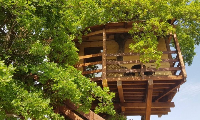 Torino di Sangro Casa | Casa Sull' Albero Treehouse Costa dei Trabocchi