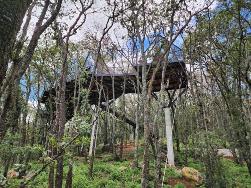 Omitlán de Juárez Chalet De Esquí | Cabaña Austral, Punta del Bosque