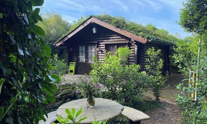 Miengo Cabina | Cabaña de ensueño en el bosque y junto al mar. Ideal pareja ,dos niños y mascota