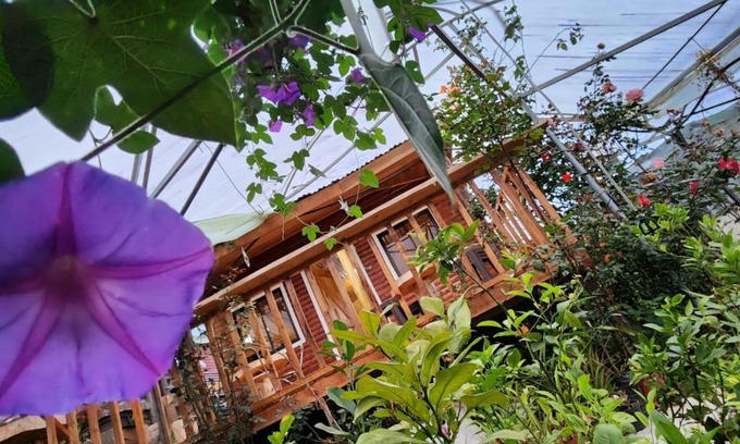 Cantón de Dota Casa | Cabaña el Faisán, Jardín de Dota