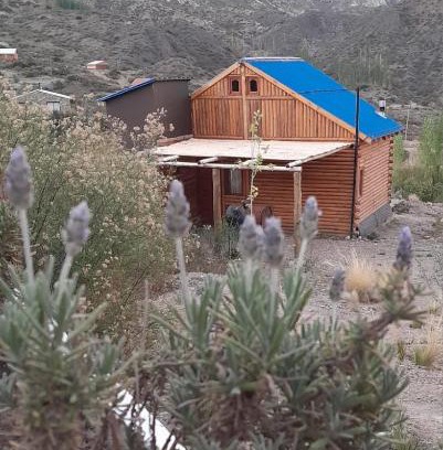 Cuyo Chalet De Esquí | Cabañas Piquillin Potrerillos Mendoza