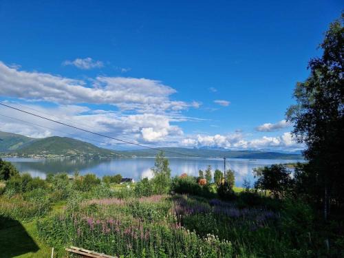 Evenes Casa | Cabin with lovely view