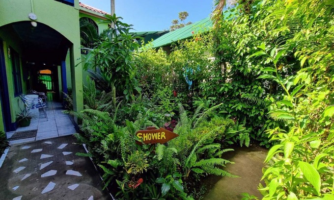 Tortuguero Cama Y Desayuno | Cabinas Tortuguero Natural