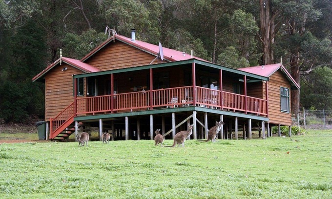 North Walpole Hotel | Cabins Nestled in 170 Acres of old Growth Forest Near the Valley of the Giants