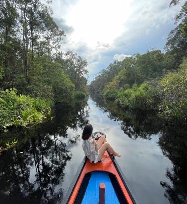 Kalimantan Alquiler De Eote | Cakrawala Borneo Tour Tanjung puting