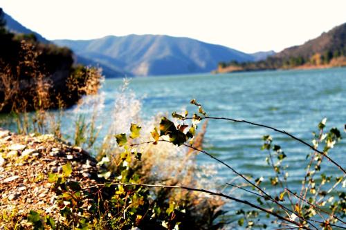 Riba-Roja d'Ebre Otro | Camping Riba-roja