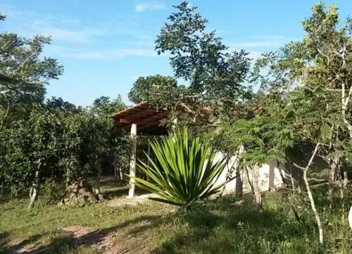 Pirenopolis Cabina | Canto Guardian - Suavidade e paz no cerrado