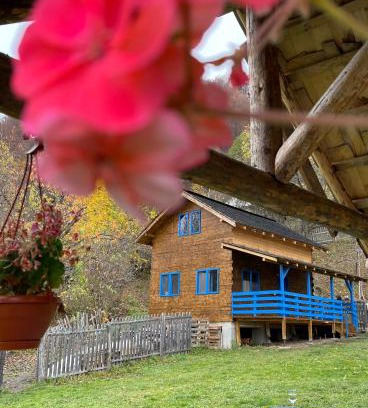 Baile Olanesti Chalet De Esquí | Casa Brună
