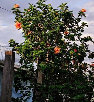 Tramandai Apartamento | Casa com Sacada e Churrasqueira em Tramandaí/RS