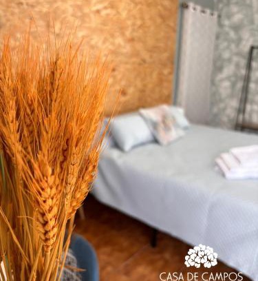 Angra do Heroismo Apartamento | Casa de Campos AL