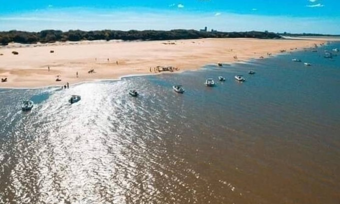 Concepción del Uruguay Casa | Casa del Árbol