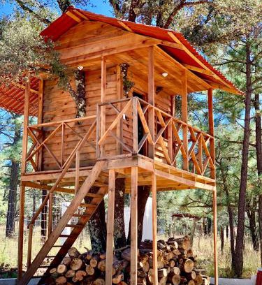 Durango Chalet De Esquí | CASA DEL ARBOL en la Sierra de Durango