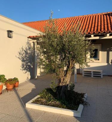 Vendas Novas Casa | Casa do Avô Ezequiel