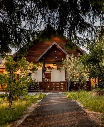 Jibert Casa | Casa Izvoru Mureșului