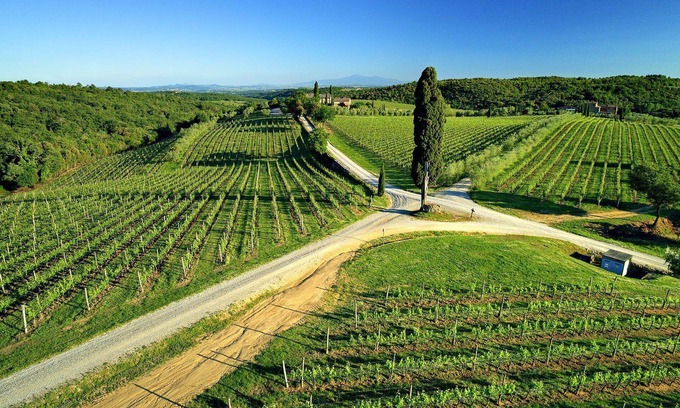 Castelnuovo Berardenga Apartamento | Casa Rossella - ArcenoRentalsClub Romantic flat in Chianti Wifi Concierge Pool