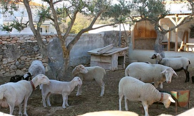 San Jorge Cabaña | Casa rural Els Matalapers - Alquiler integro - 6 plazas
