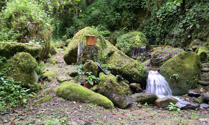 Copey Cama Y Desayuno | Casa San Rafael del Pedregoso