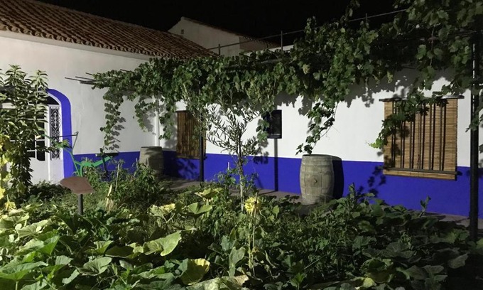 Arenales de San Gregorio Casa | Casa (tipo) RURAL MANCHEGA