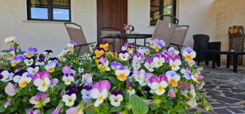 Caltagirone Casa | Casa Tre Palmi