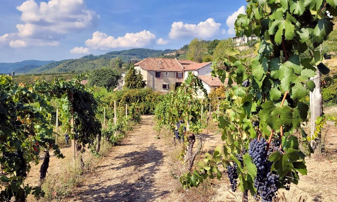 Cessole Casa | CASCINA MARENCO LANGHE COUNTRY HOUSE Dolcetto | with pool, garden, view, wi-fi