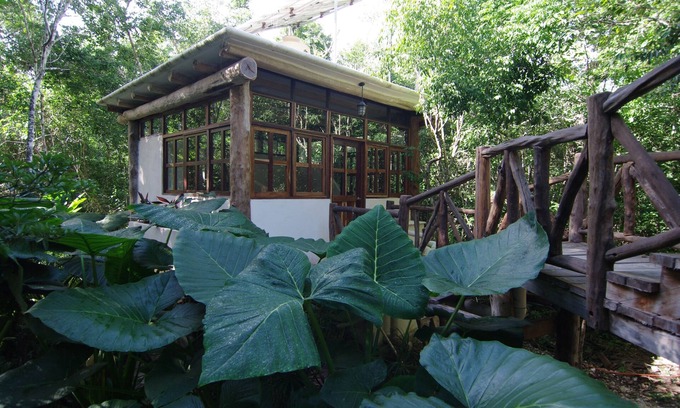 Tulum Cabaña | Casita Milagros - Una Casa en el árbol de la selva