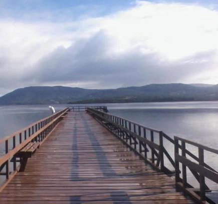 Chonchi Casa | Casona Gerding