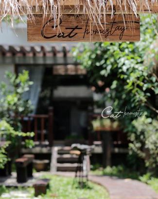 Thuy Xuan Apartamento | Cat Homestay