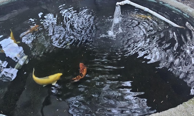 Dunsmuir Hotel | Cedar Lodge Motel