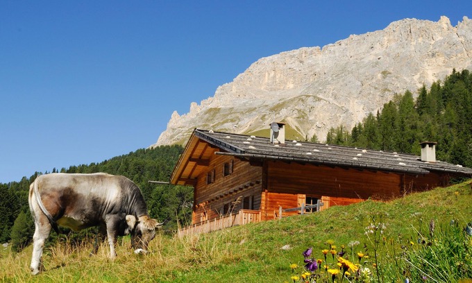 Obereggen Chalet De Esquí | Cabaña alpina, chalet, cabaña de esquí en el medio del área de esquí, apartamento de vacaciones