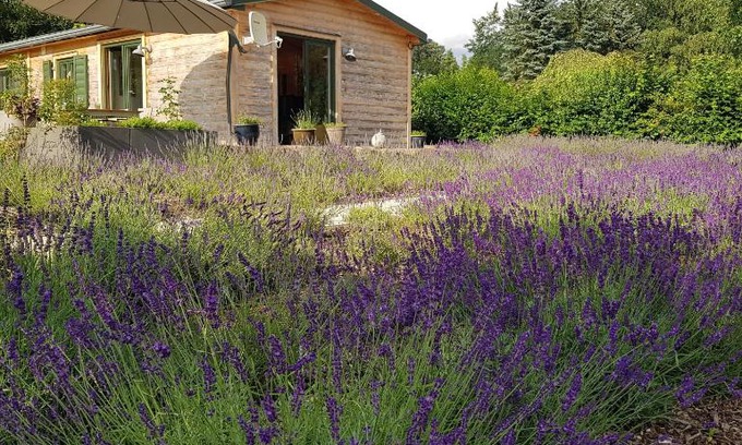 Muecke Casa | Chalet "Waldhauszeit" am See