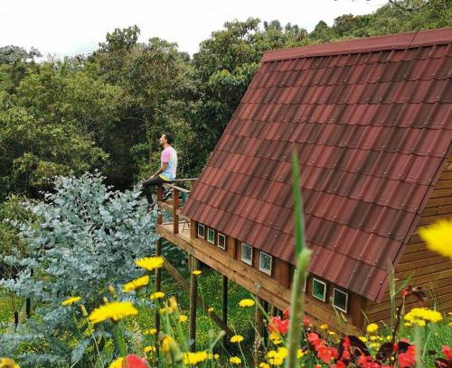 Los Nomos Casa | Chalets en Santa Elena en medio del Bosque