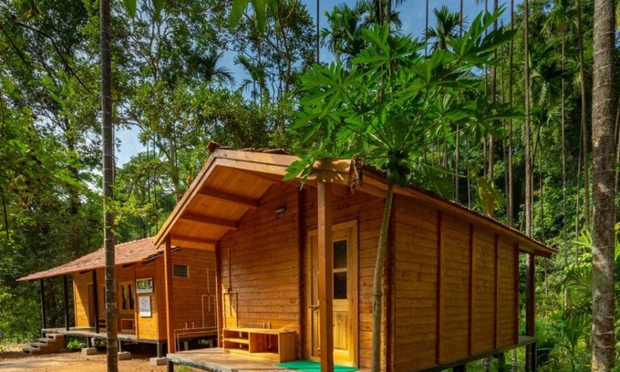 Tirthalli Otro | Chalets in Agumbe RainForest