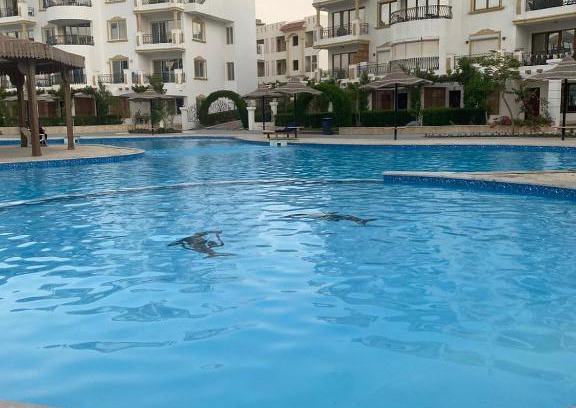 Sharm El Sheikh Apartamento | chalets neama bay