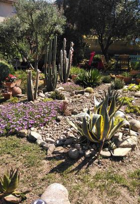 Roquebrun Cama Y Desayuno | Chambre d'hôtes Le Rougeyras