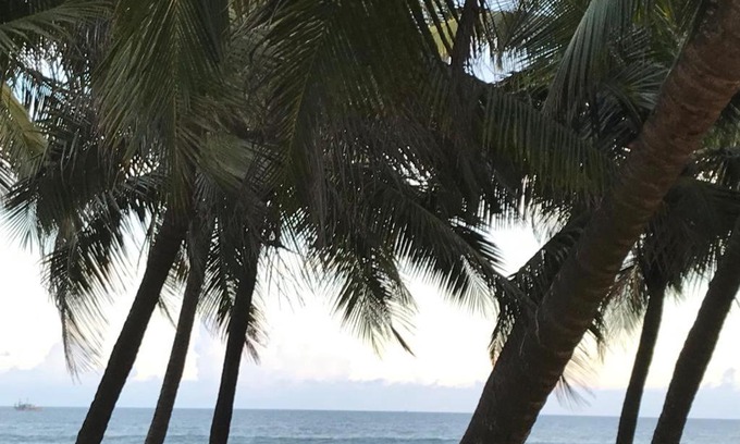 Kalapettai Complejo | Chan Beach Resort