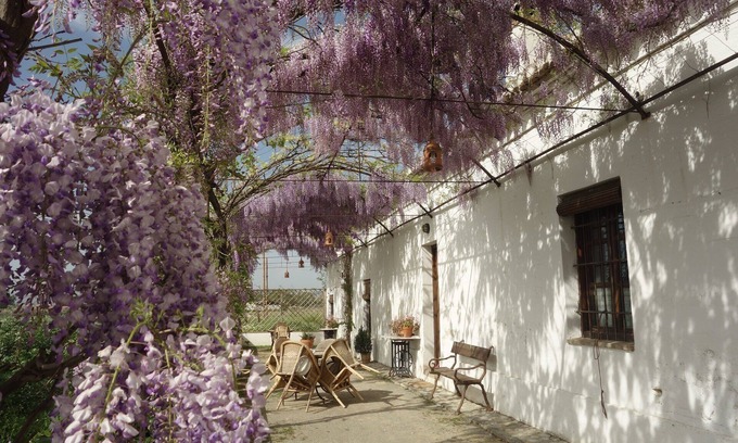 Tozar Cabaña | Casa rural con encanto y piscina a 3 km de la ciudad de Granada. Aparcamiento