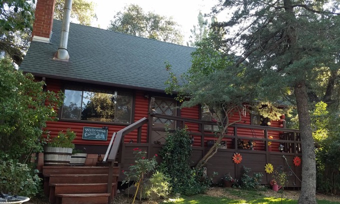 Pine Valley Cabina | Encantadora cabaña de madera rodeada por las colinas del bosque nacional de Cleveland