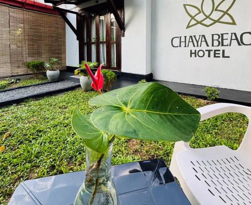 Tangalle Hotel | Chaya Beach Hotel,Tangalle