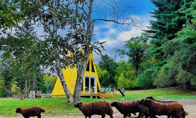 Highland Cabina | Cheese Wedge Cabin Idyllic Farm