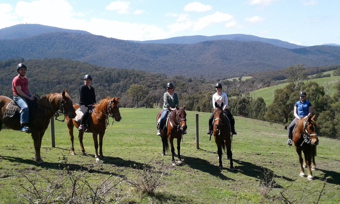 Chum Creek Cabaña | Chum Creek Hut - Casa de campo de lujo en hermosa propiedad de caballos.
